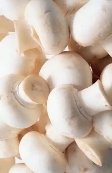 White Button Mushrooms (Champignon)