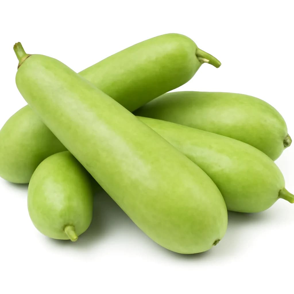 Bottle Gourd (Lauki)