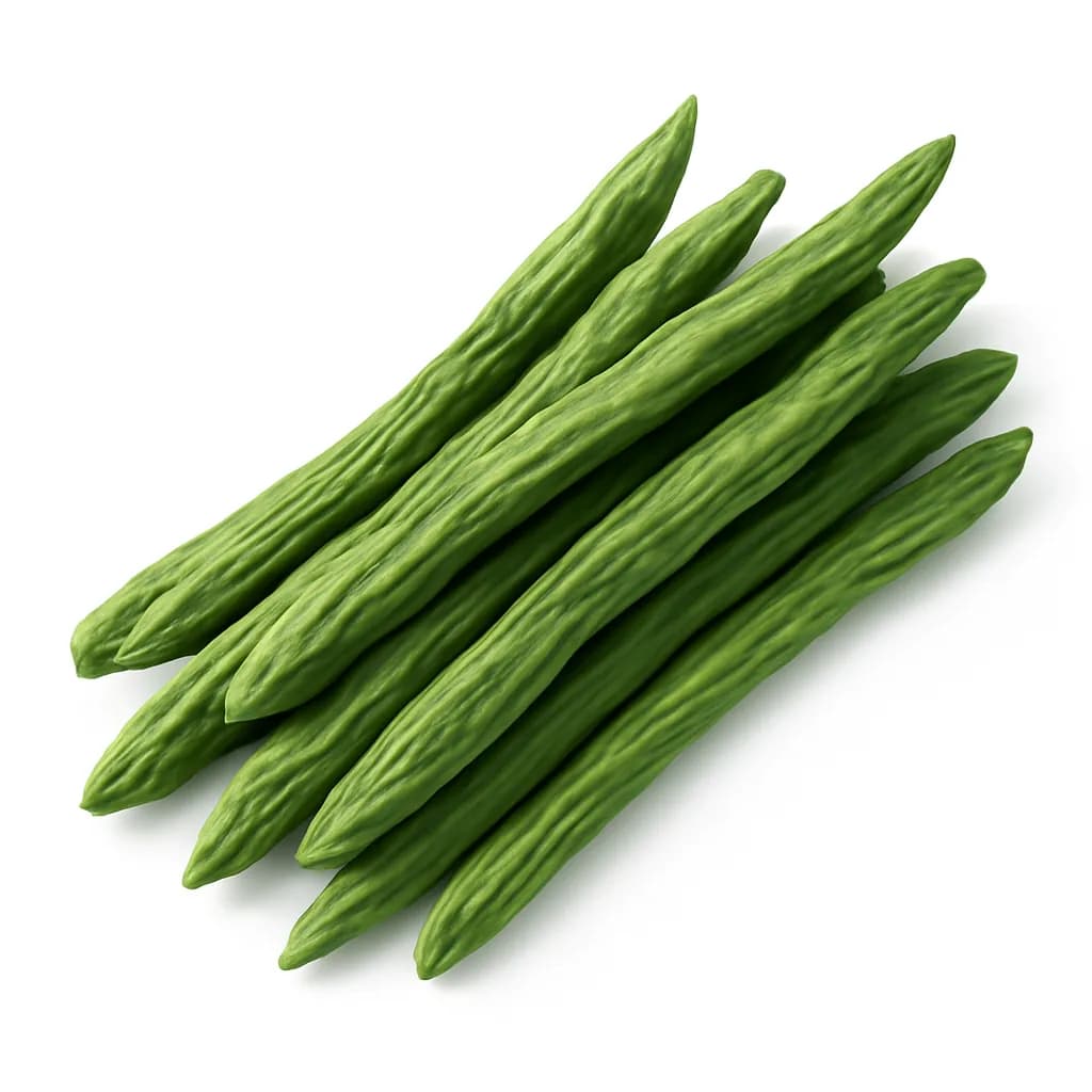 Drumstick (Sahjan)