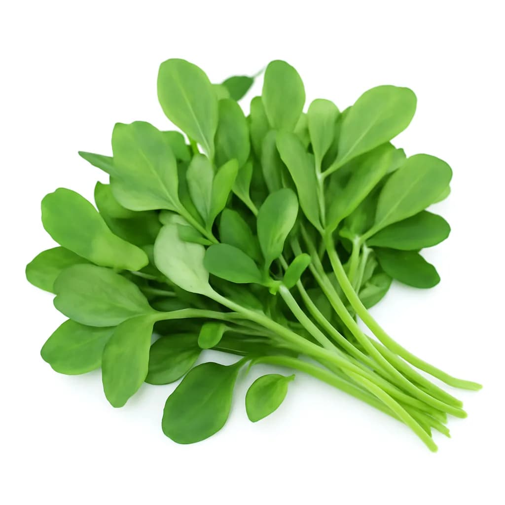 Fenugreek Leaves (Methi)