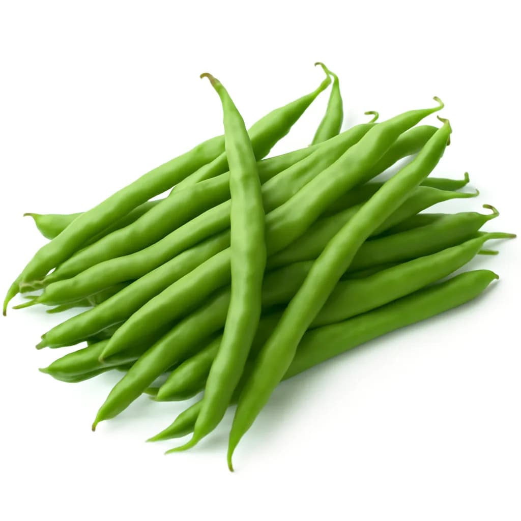 French Beans (Phalli)